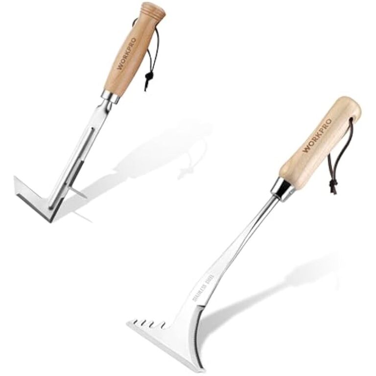 31ynzdtsx l. ac us800 .jpg