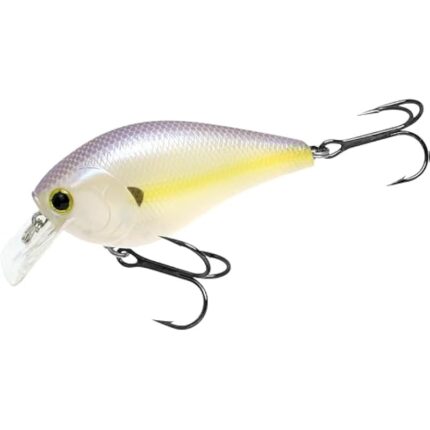 31ysvknrd6l. ac us800 .jpg