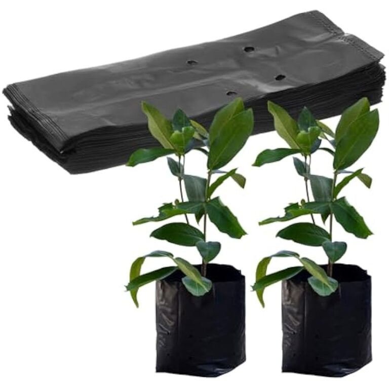 41 gavzog1l. ac us800 .jpg