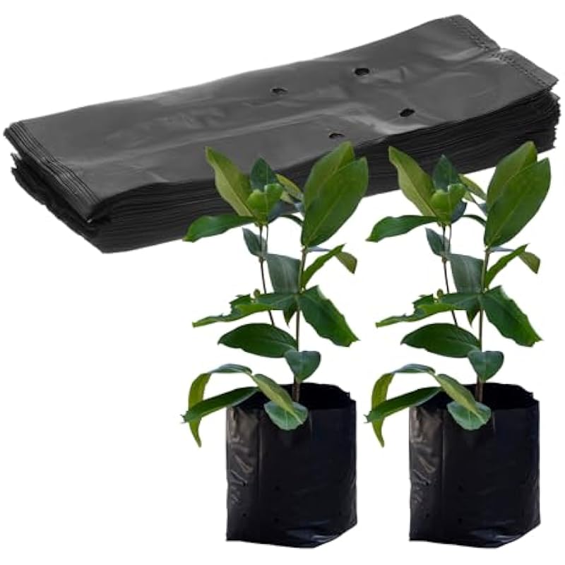 41 gavzog1l. ac us800 .jpg