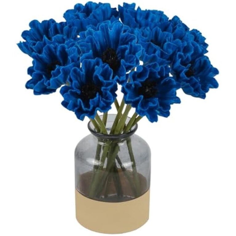 4115fq9fzgl. ac us800 .jpg