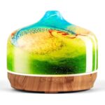 411xh70tn7l. ac us800 .jpg