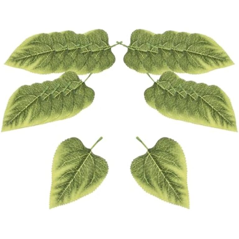 411lahvxhel. ac us800 .jpg