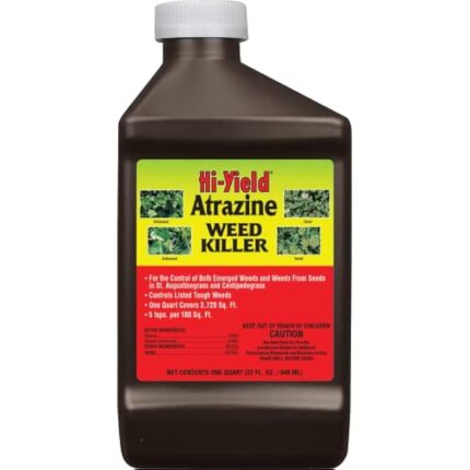 412jeimon4l. ac us800 .jpg