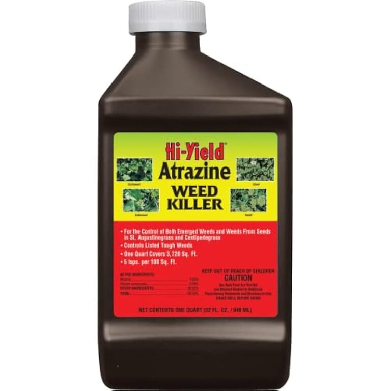 412jeimon4l. ac us800 .jpg