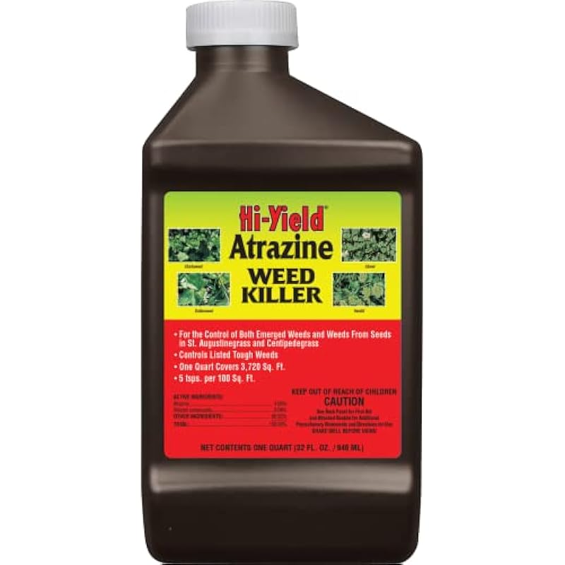 412jeimon4l. ac us800 .jpg