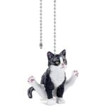 413qhjjasgl. ac us800 .jpg