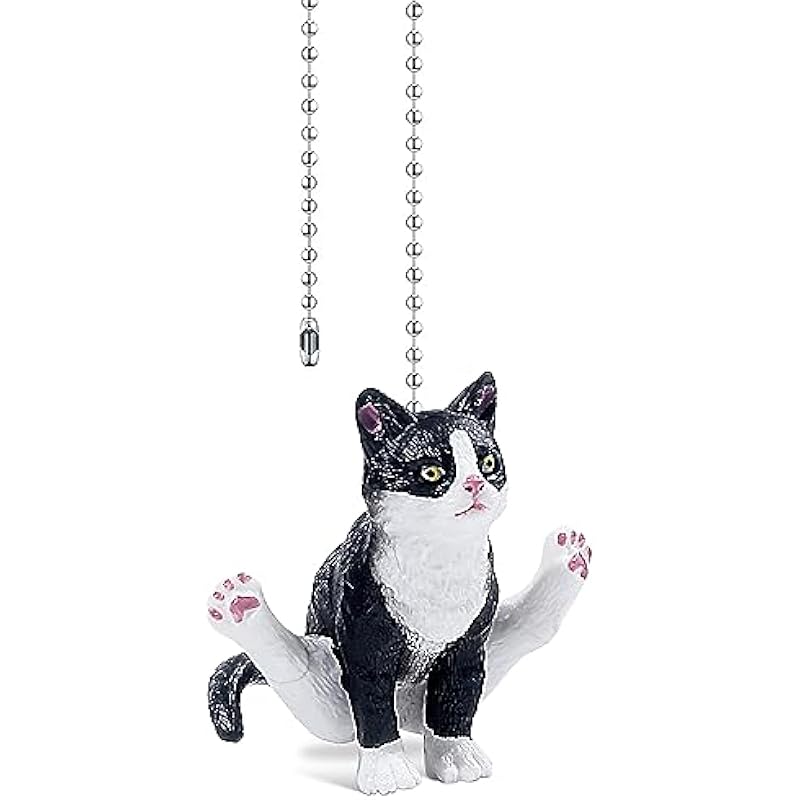 413qhjjasgl. ac us800 .jpg