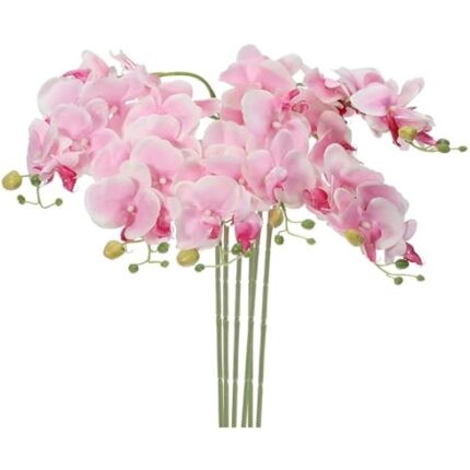 414tk9ryw3l. ac us800 .jpg