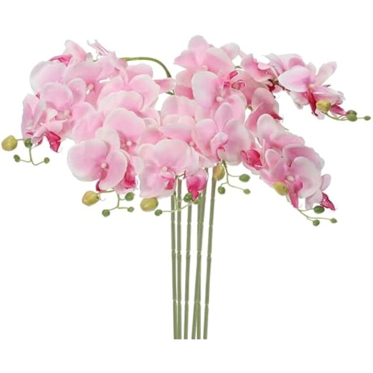 414tk9ryw3l. ac us800 .jpg