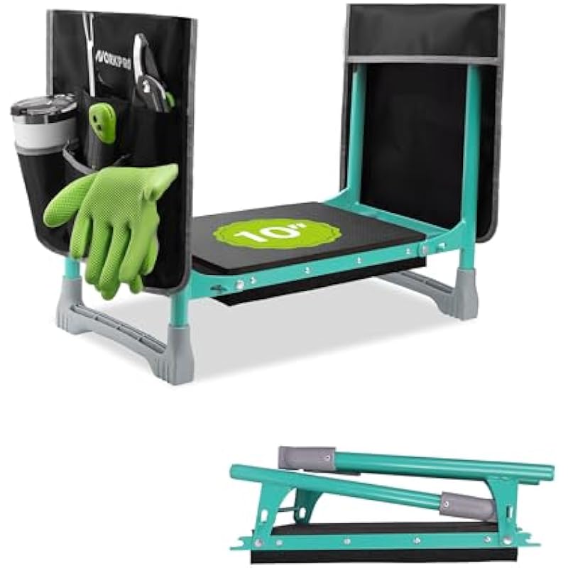 415fqiecqgl. ac us800 .jpg