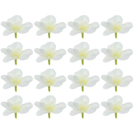 41684nrurll. ac us800 .jpg