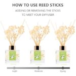 417i8ibyerl. ac us800 .jpg