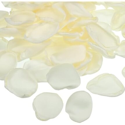 417jcxbno7l. ac us800 .jpg