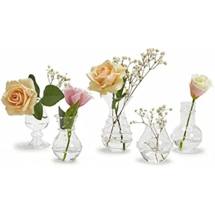 419cneatnul. ac us800 .jpg