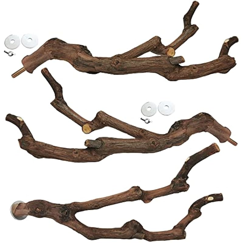 419hj3blptl. ac us800 .jpg