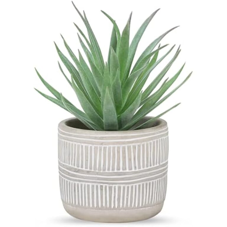 41auydapbel. ac us800 .jpg