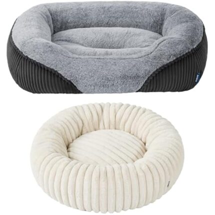 41acszvyh8l. ac us800 .jpg