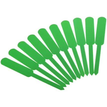 41amycqz5xl. ac us800 .jpg