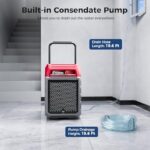 41avuozybjl. ac us800 .jpg