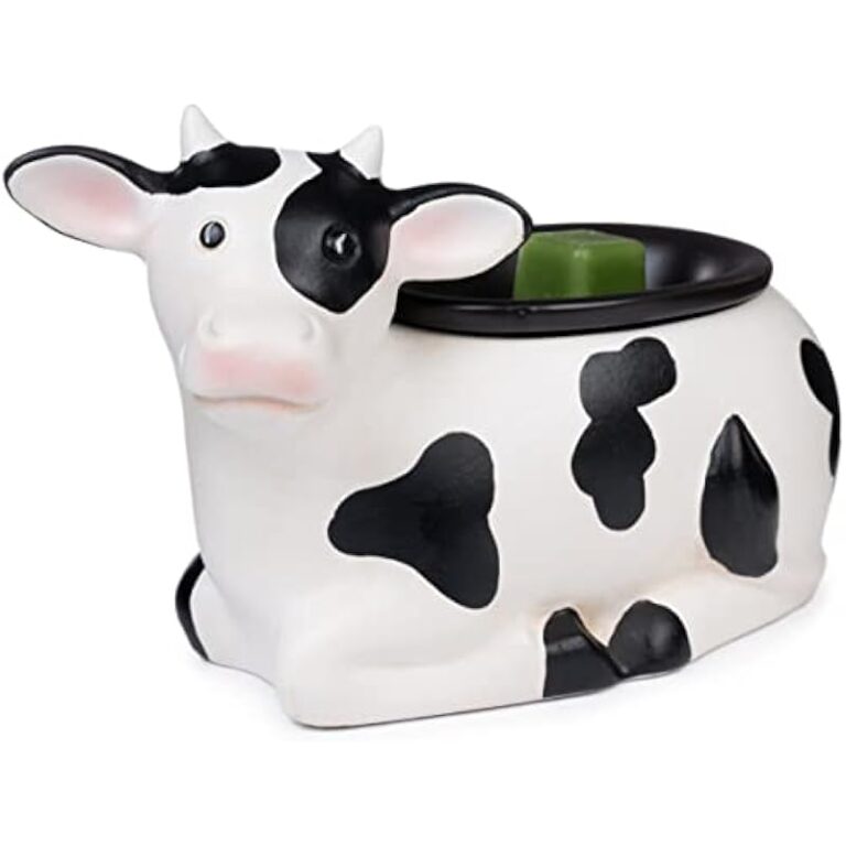 41bwuq11cl. ac us800 .jpg