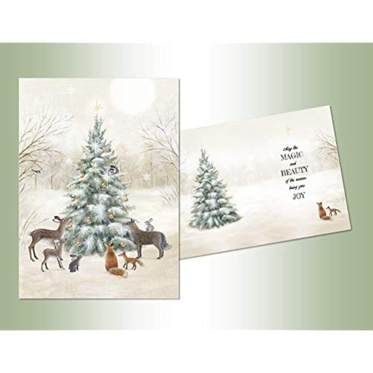 41bhacojbsl. ac us800 .jpg