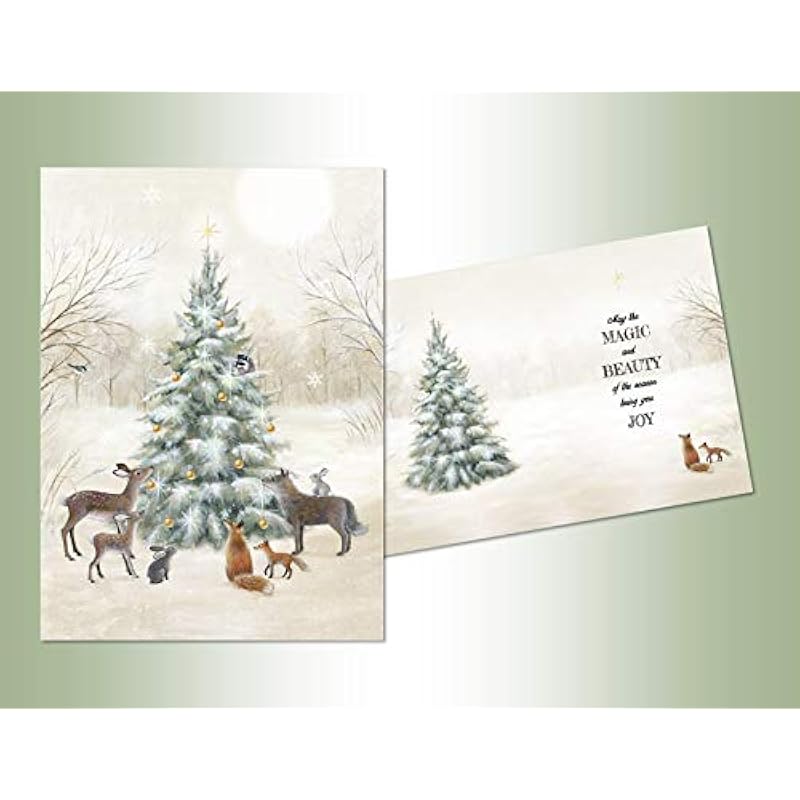 41bhacojbsl. ac us800 .jpg