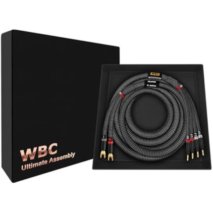 41bhwol6l. ac us800 .jpg