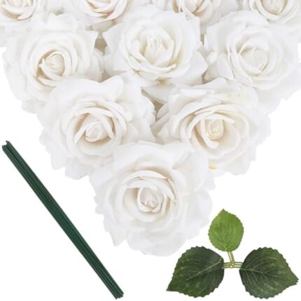 41c77vpvp5l. ac us800 .jpg