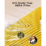 41d1vkknzgl. ac us800 .jpg