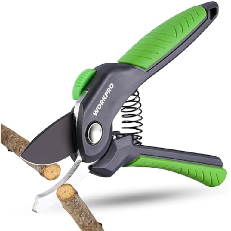 41ddss0fdpl. ac us800 .jpg