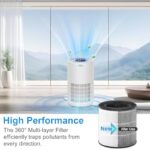 41dzypknyvl. ac us800 .jpg