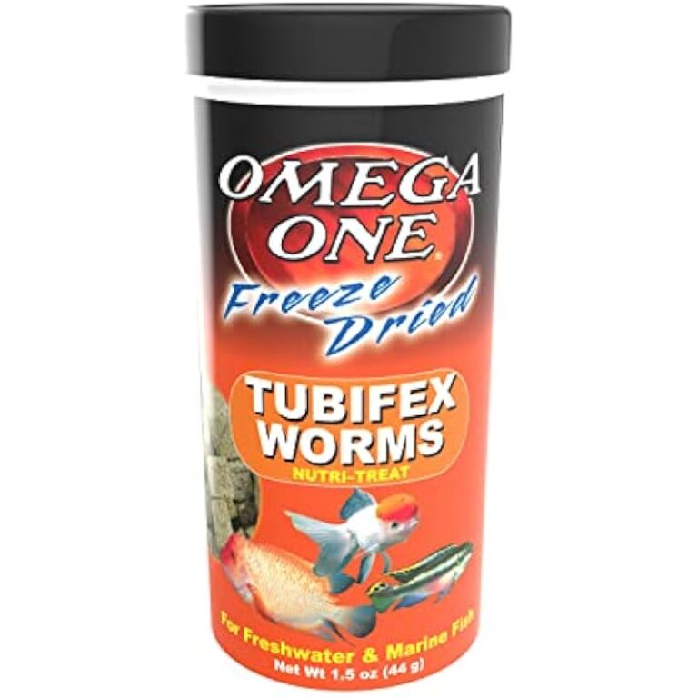 41dzk5jnwbl. ac us800 .jpg