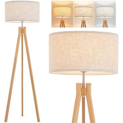 41dleqgodsl. ac us800 .jpg