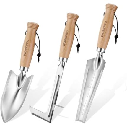 41enhfmqsdl. ac us800 .jpg