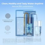 41fmkqjjvdl. ac us800 .jpg