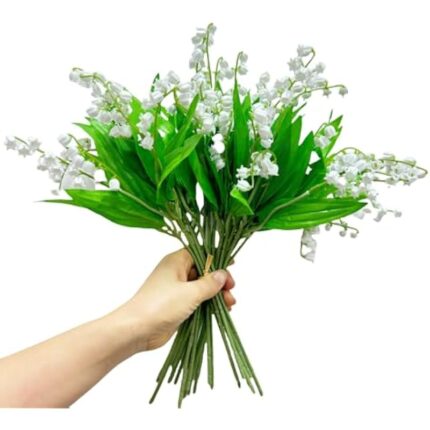 41g0ubfofel. ac us800 .jpg