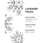 41g556qipwl. ac us800 .jpg