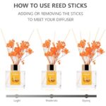 41gjmuyakzl. ac us800 .jpg