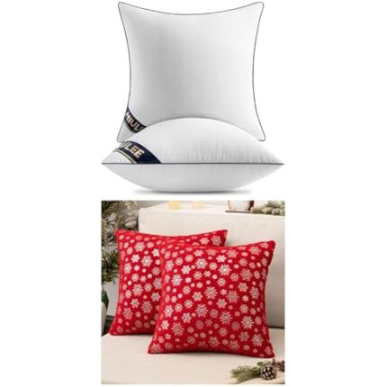 41gu04zmt9l. ac us800 .jpg