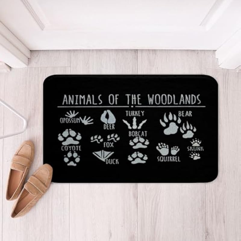 41h00s9wyql. ac us800 .jpg