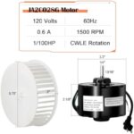 41hjjqlssl. ac us800 .jpg