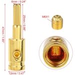 41hwzqhv5ll. ac us800 .jpg