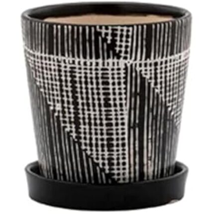 41hqhrhznzl. ac us800 .jpg