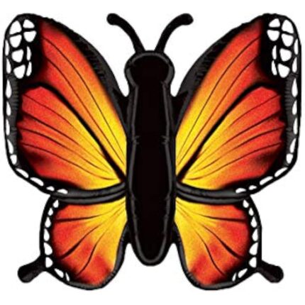 41i1cqrentl. ac us800 .jpg