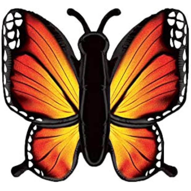 41i1cqrentl. ac us800 .jpg