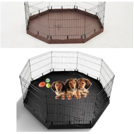 41i5fc1h6cl. ac us800 .jpg