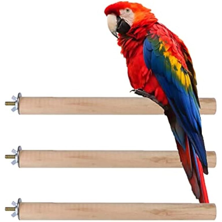 41i5xd0dral. ac us800 .jpg