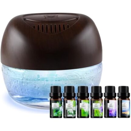 41ibl9uzhkl. ac us800 .jpg