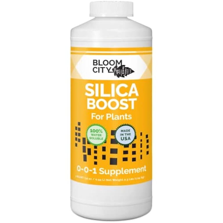 41iwhj3xavl. ac us800 .jpg